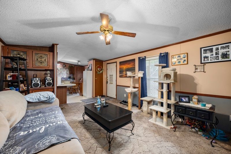 107 Township Road 810 West Salem OH 44287