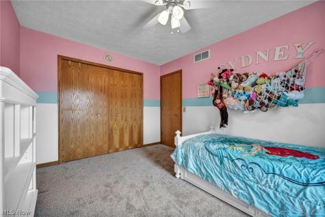 5704 Halwick Drive Ravenna OH 44266