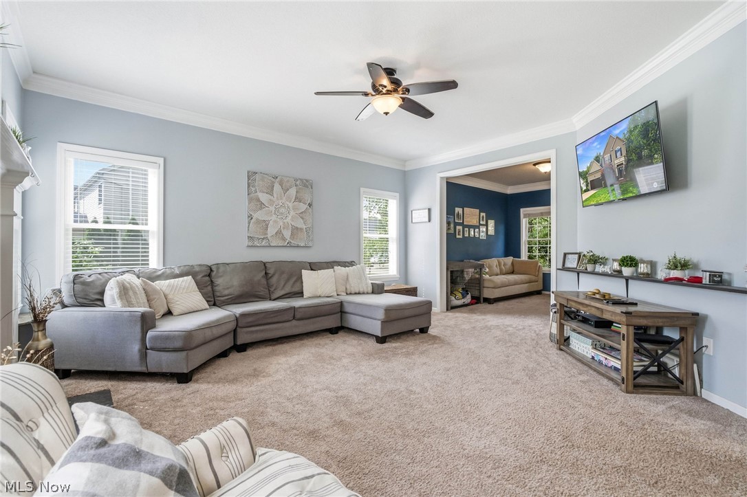 5859 Trystin Tree Drive Medina OH 44256