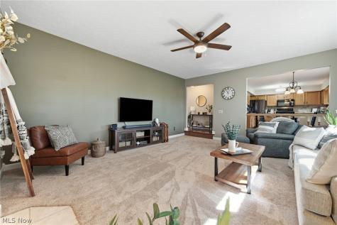 30019 Wellington Drive North Olmsted OH 44070