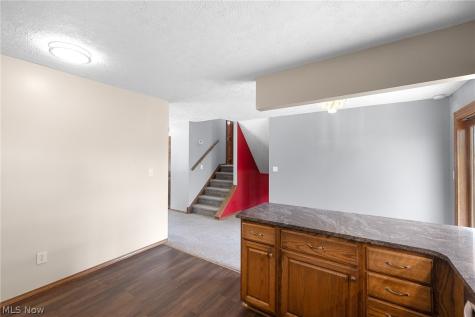 1012 Vivian Drive Grafton OH 44044