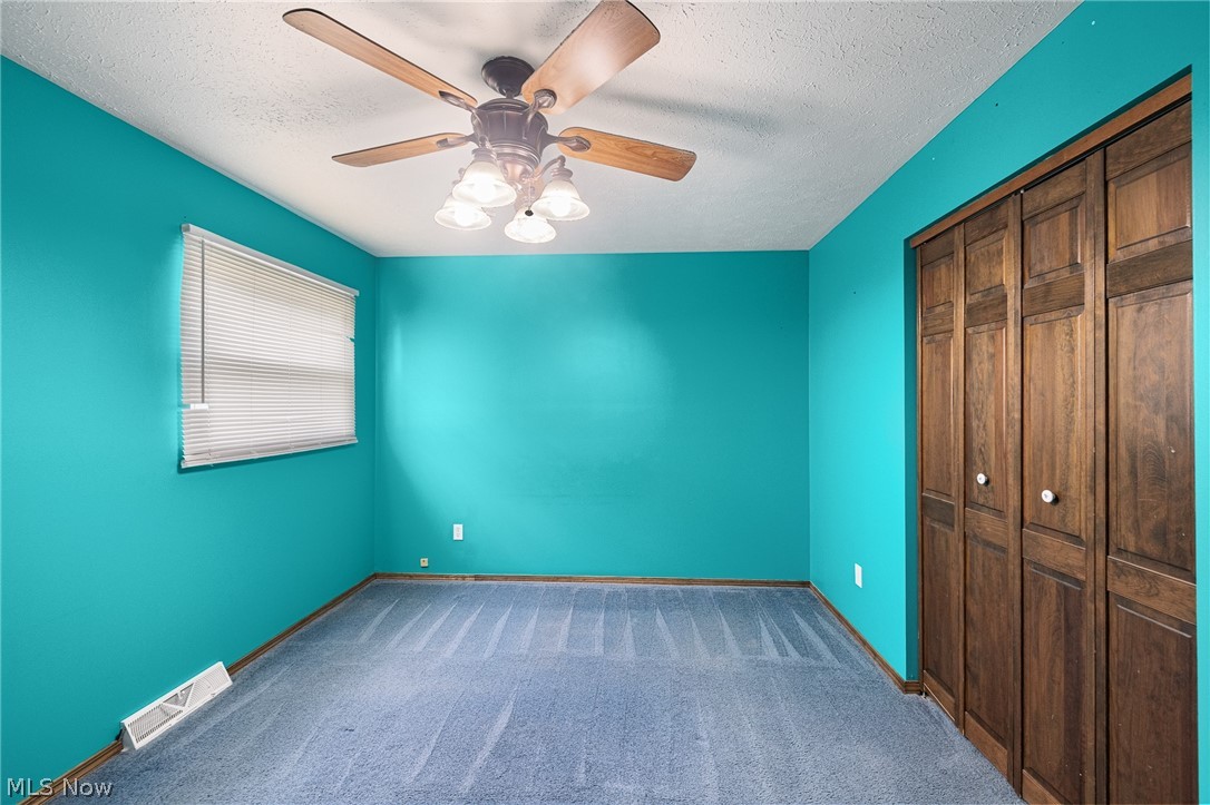 1012 Vivian Drive Grafton OH 44044