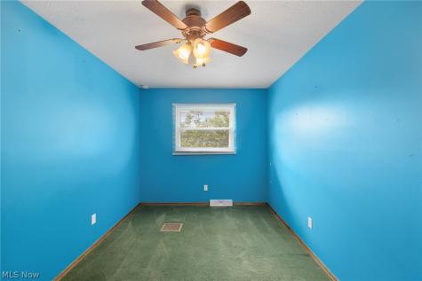 1012 Vivian Drive Grafton OH 44044