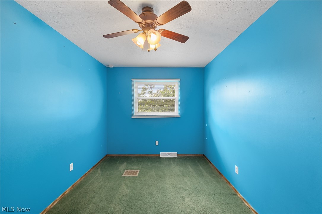 1012 Vivian Drive Grafton OH 44044