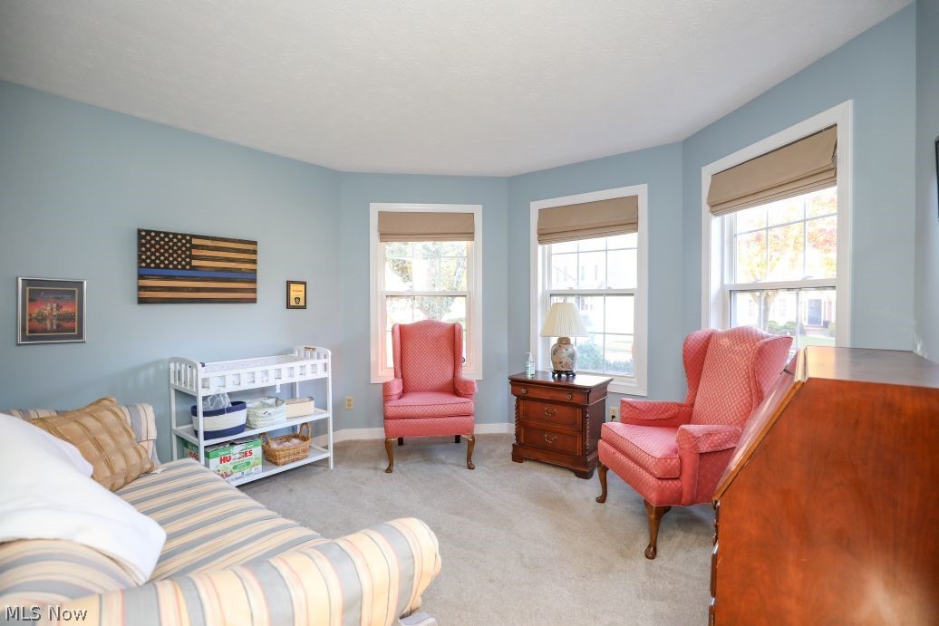 3015 Woodcrest Drive Fairlawn OH 44333