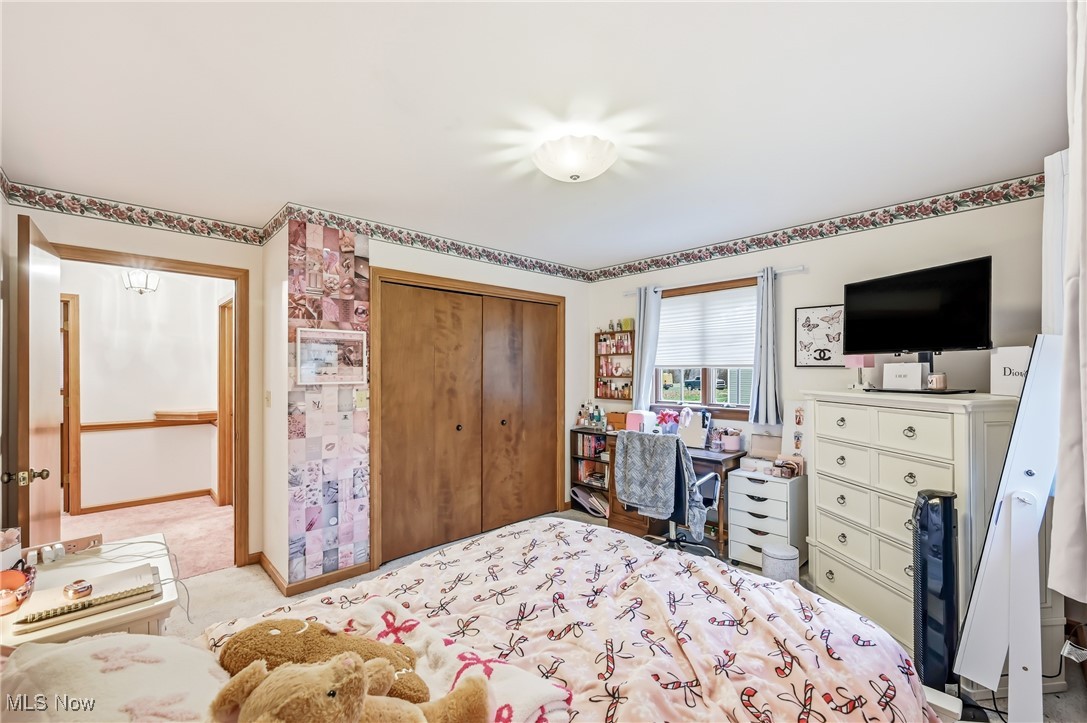 2342 Mccleary Jacoby Road Cortland OH 44410