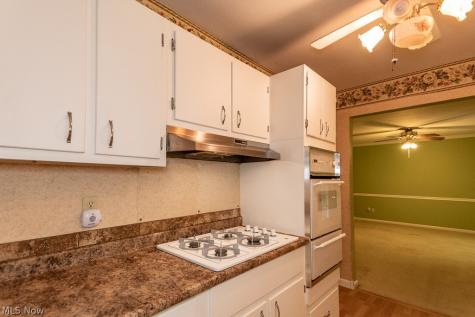 8688 Marjory Drive Mentor OH 44060
