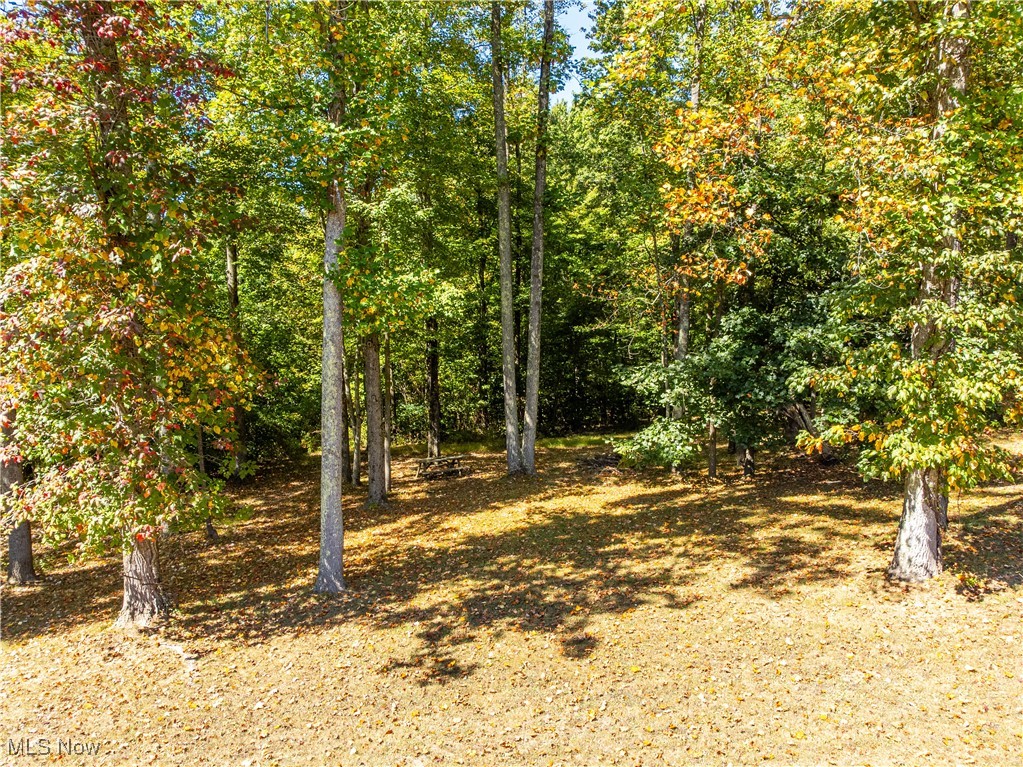 34561 Sunshine Road Piedmont OH 43983