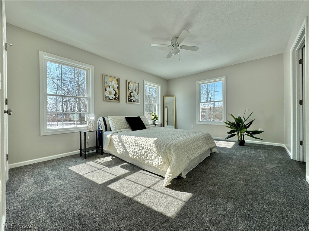406 S Raccoon Road Austintown OH 44515