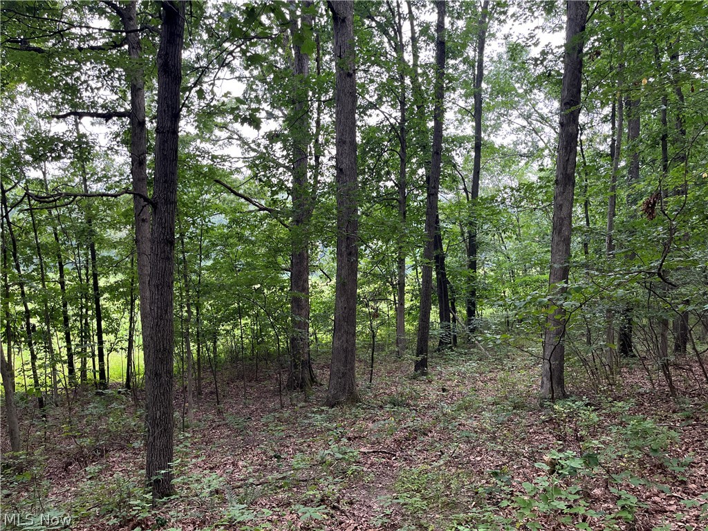 1368 Andora Road NE Carrollton OH 44615