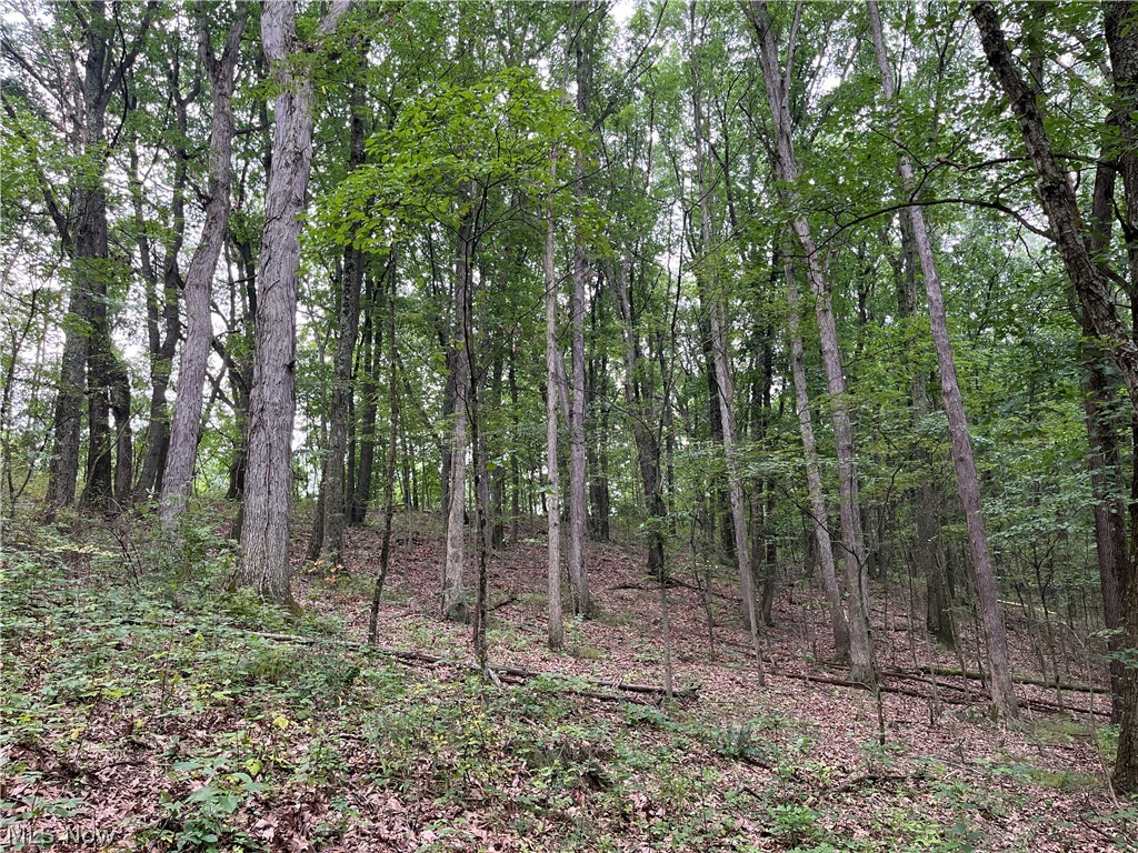 1368 Andora Road NE Carrollton OH 44615