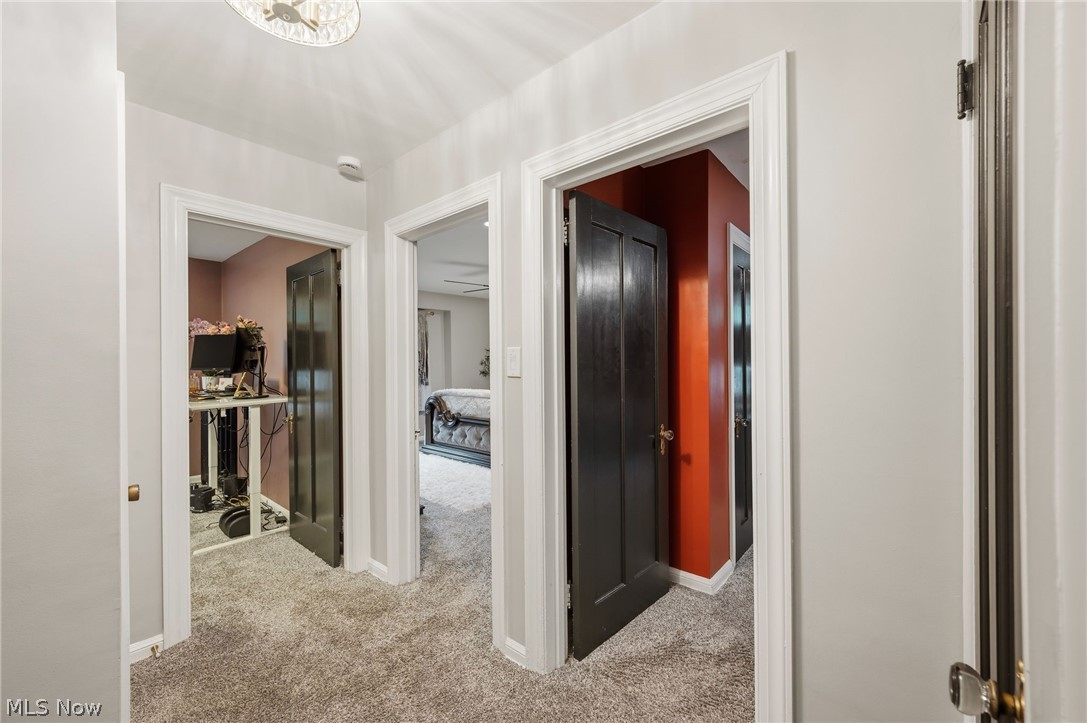 3364 Euclid Heights Boulevard Cleveland Heights OH 44118
