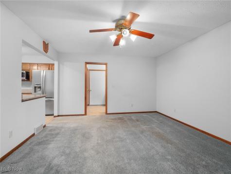 4250 Dawncliff Drive Brooklyn OH 44144