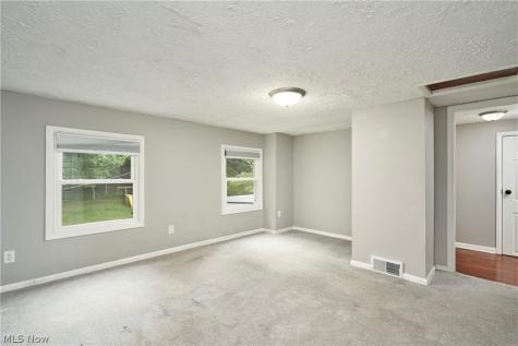 254 Lownsdale Avenue Akron OH 44313