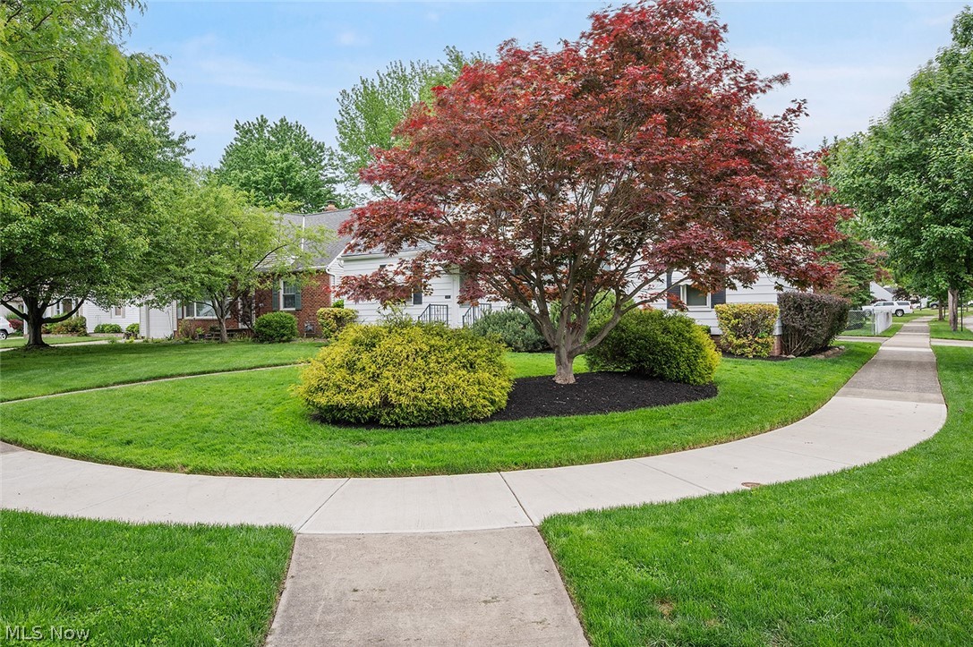 977 Learidge Road Lyndhurst OH 44124