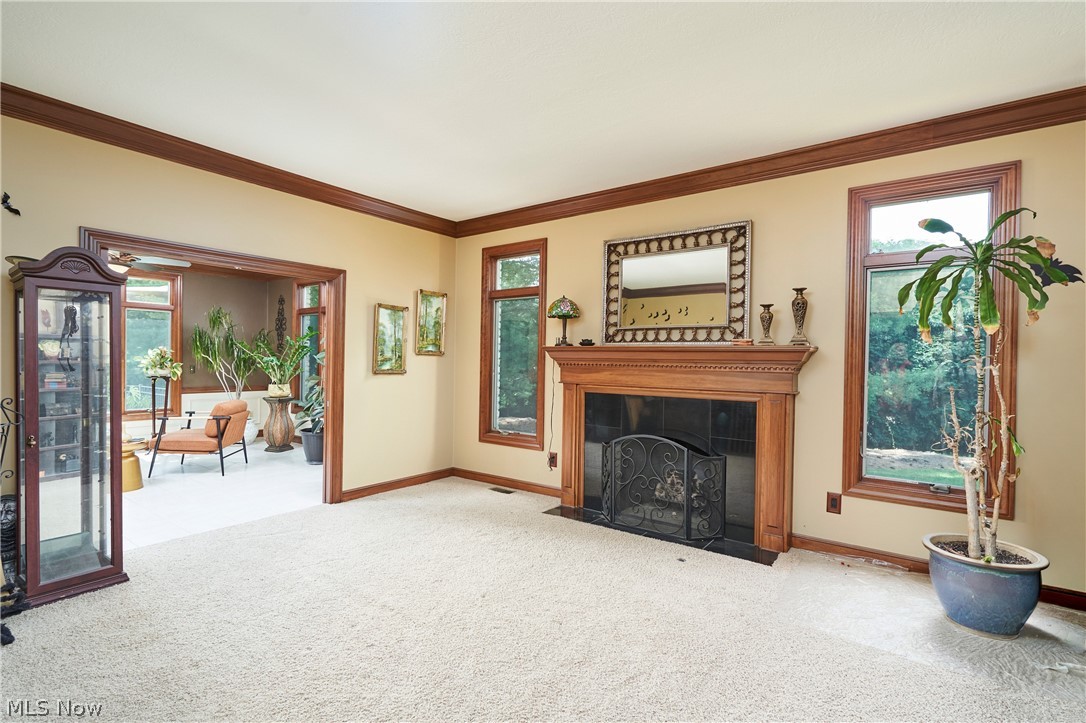 3770 Winterberry Drive Bath OH 44333