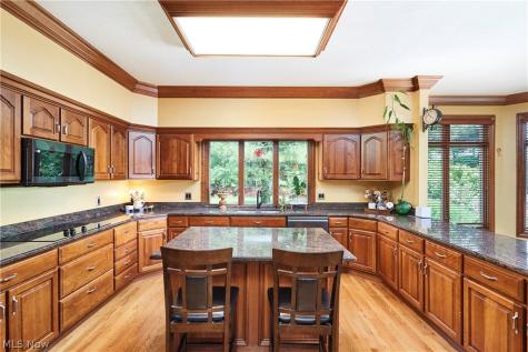 3770 Winterberry Drive Bath OH 44333