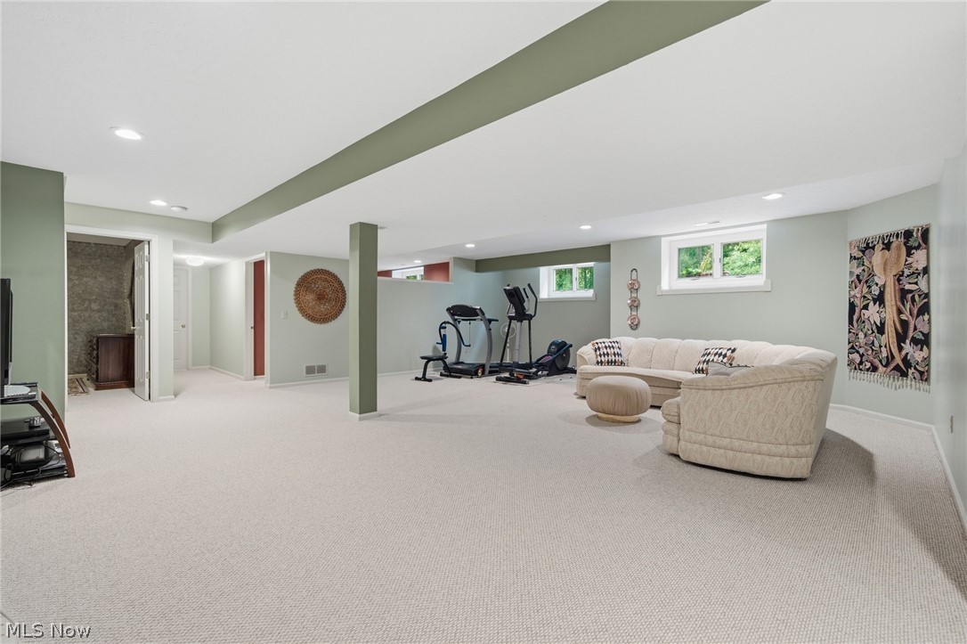 38861 Arbor Court Grafton OH 44044