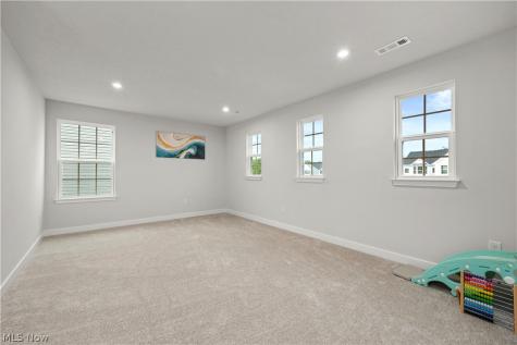 1020 Ashford Court Columbia Station OH 44028