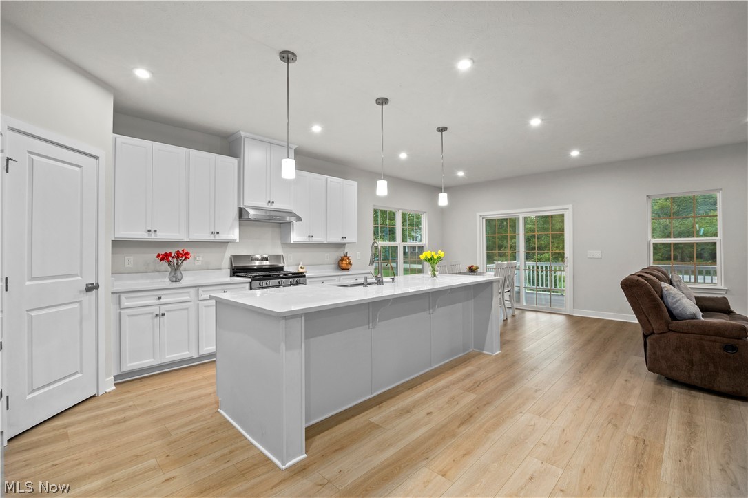 1020 Ashford Court Columbia Station OH 44028