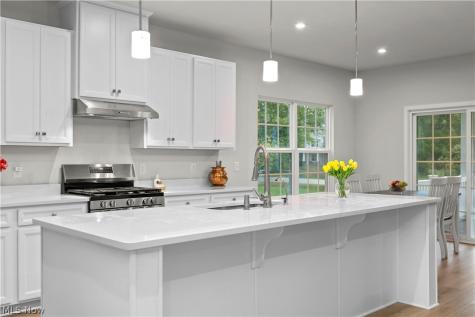 1020 Ashford Court Columbia Station OH 44028