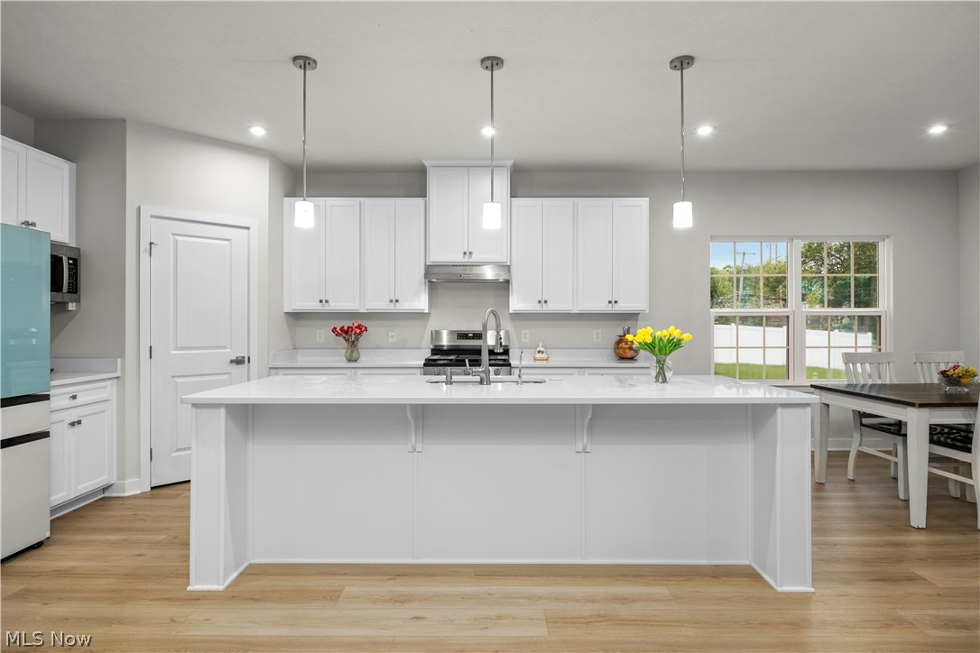 1020 Ashford Court Columbia Station OH 44028