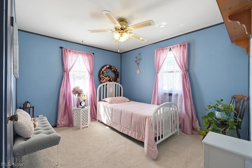 202 Hale Drive Streetsboro OH 44241