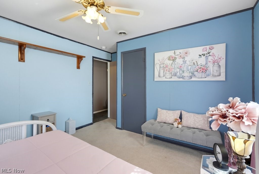 202 Hale Drive Streetsboro OH 44241