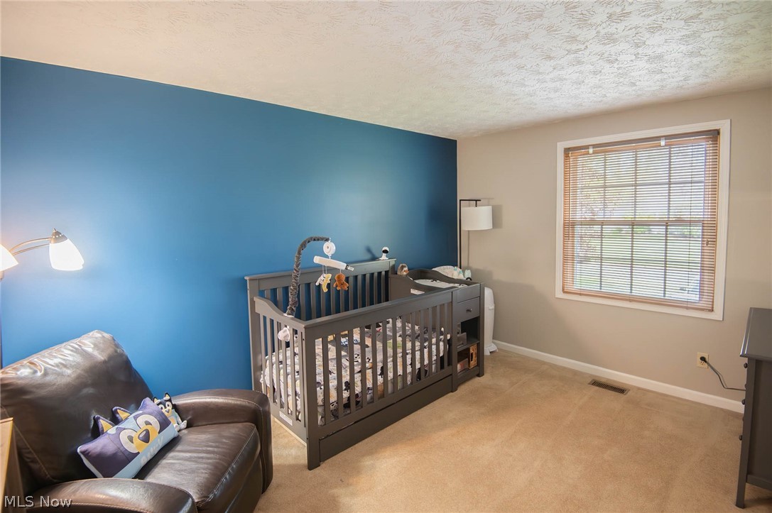 2220 Elm Trace Street Austintown OH 44515