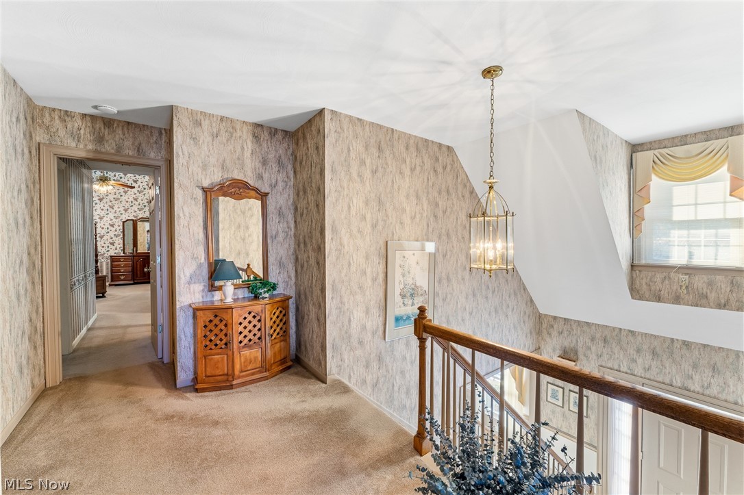3600 Fawn Drive Canfield OH 44406