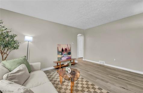 1068 Austin Avenue Akron OH 44306
