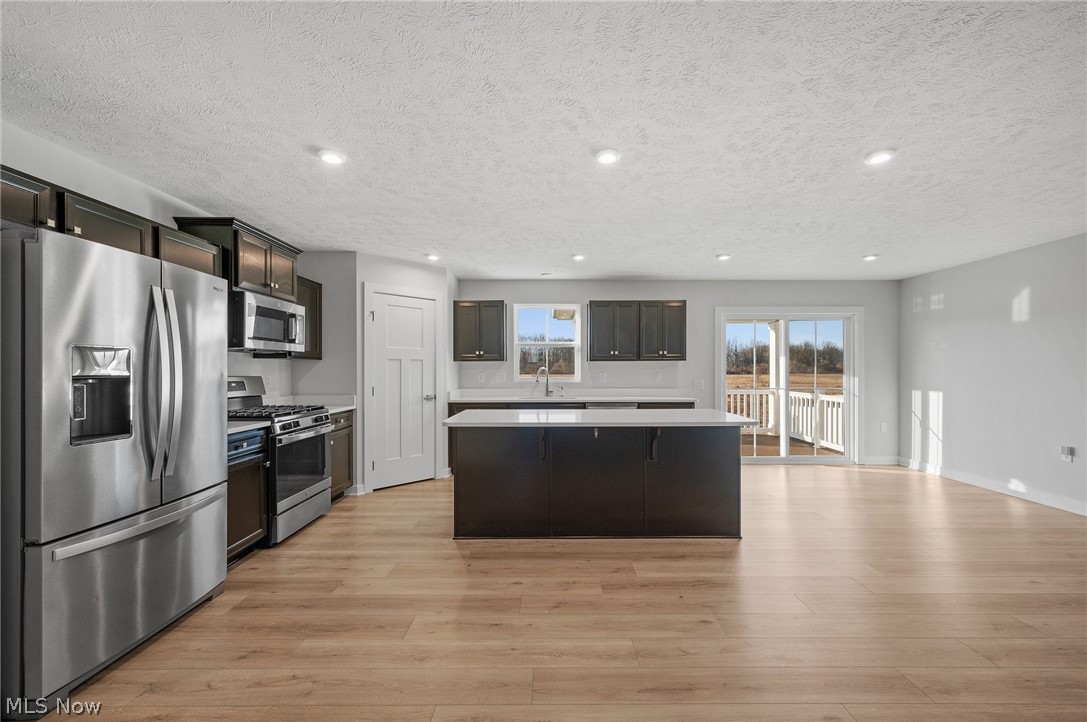 3786 Padre Pio Lane Perry OH 44081