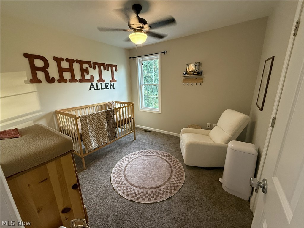 138 S Cherry Street Gnadenhutten OH 44629