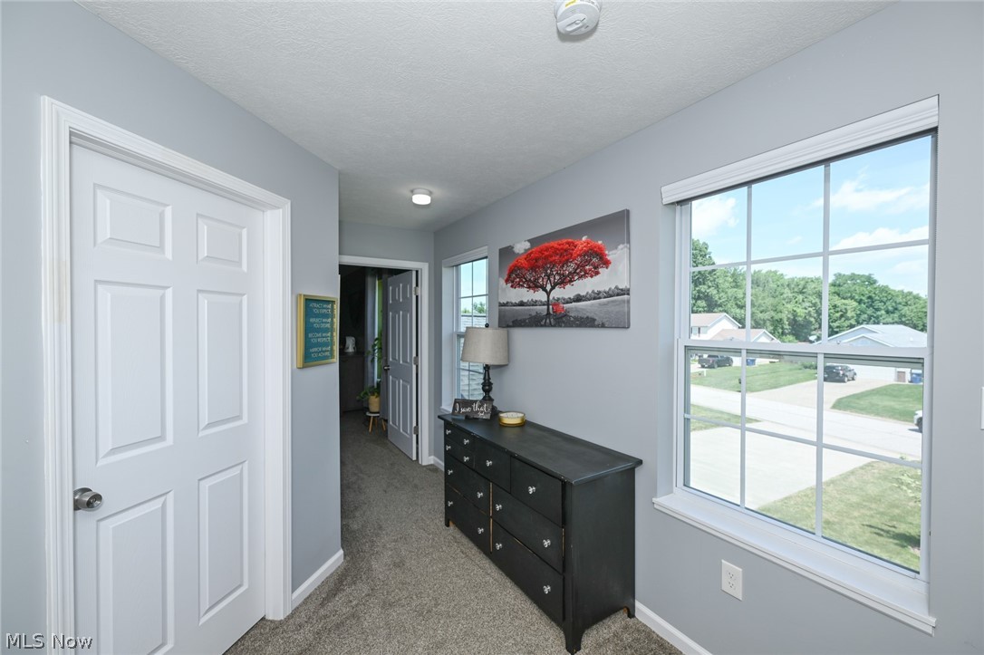 246 Columbine Avenue Akron OH 44312