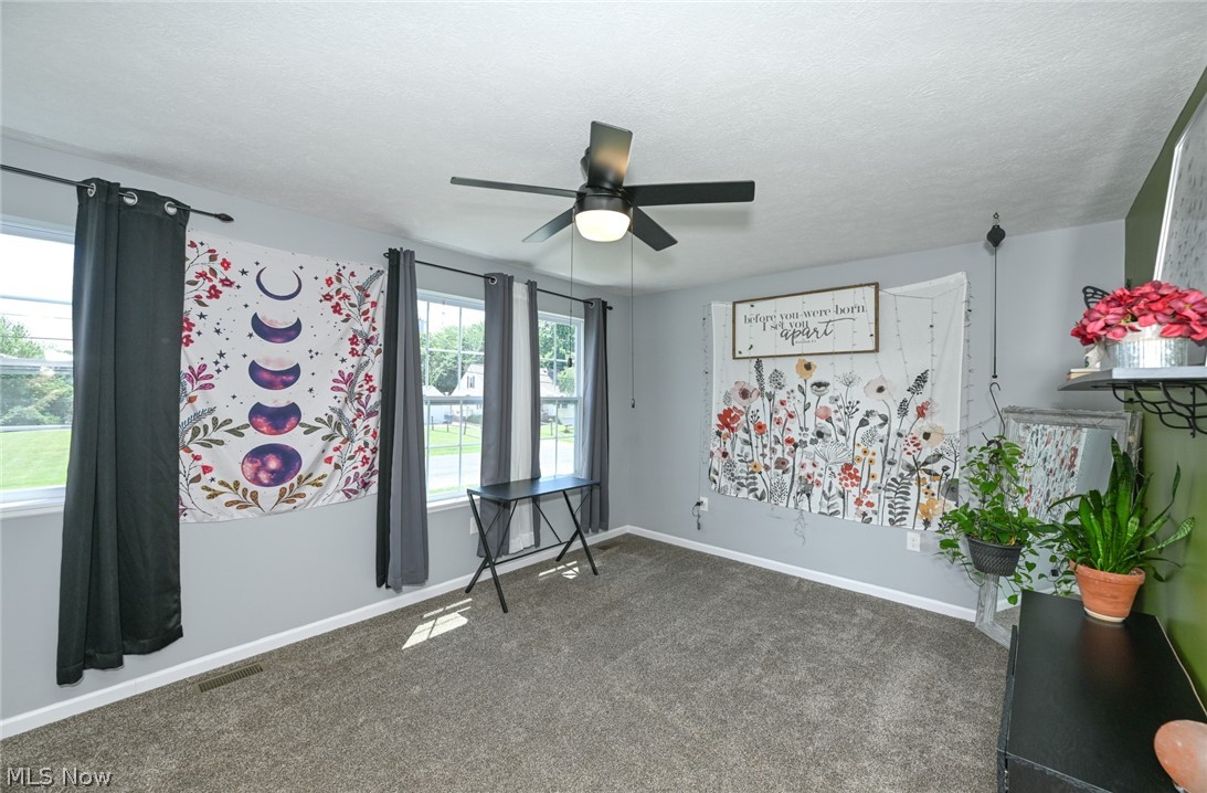 246 Columbine Avenue Akron OH 44312