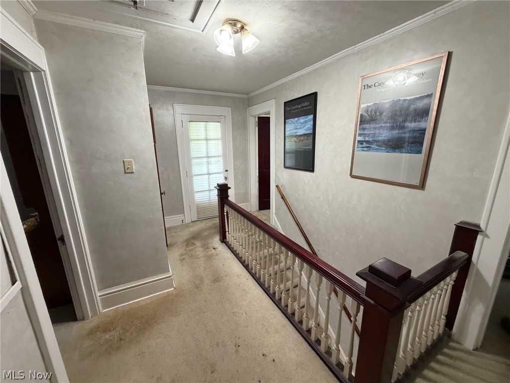 254 N Highland Avenue Akron OH 44303