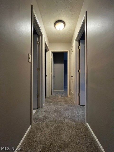 6779 Colleen Drive Boardman OH 44512