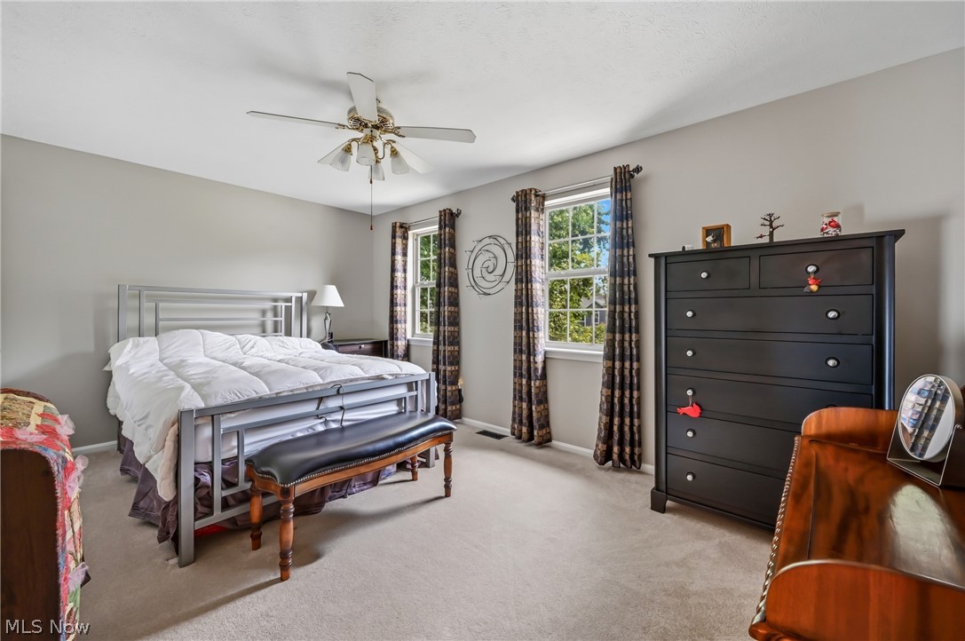 2009 Deer Meadow Boulevard Streetsboro OH 44241