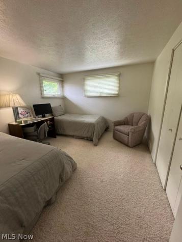 1866 Aldersgate Drive Lyndhurst OH 44124