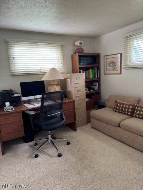 1866 Aldersgate Drive Lyndhurst OH 44124