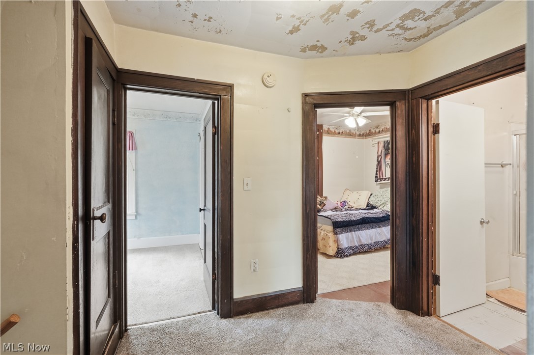 421 Riverside Drive Loudonville OH 44842