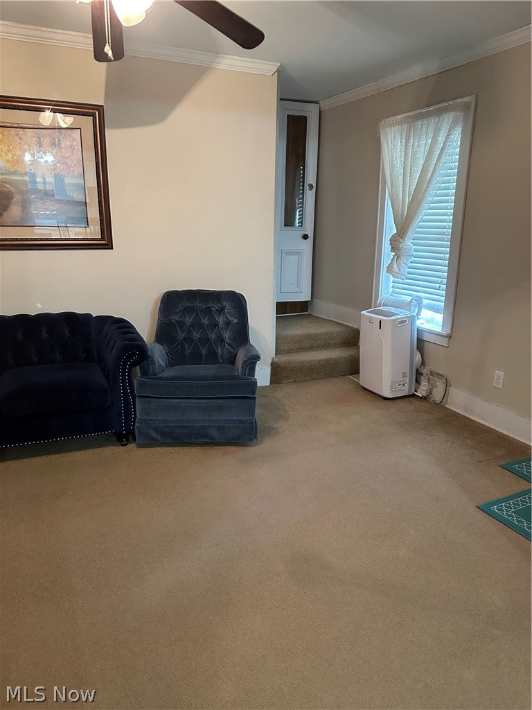 207 South Sycamore Woodsfield OH 43793