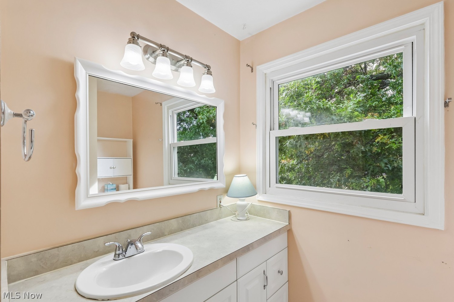 4633 Boxwood Drive Brunswick OH 44212