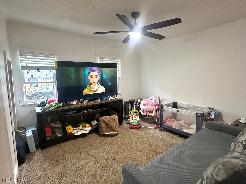 3856 W 23rd Street Cleveland OH 44109