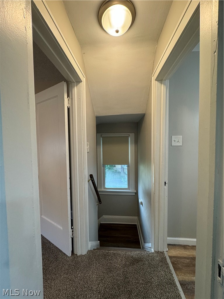 12116 Longmead Avenue Cleveland OH 44135