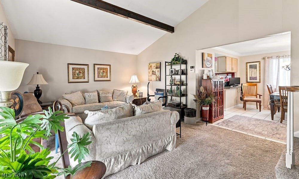 28520 Spruce Drive North Olmsted OH 44070