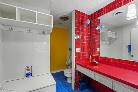 168 Orchard Hill Drive Amherst OH 44001
