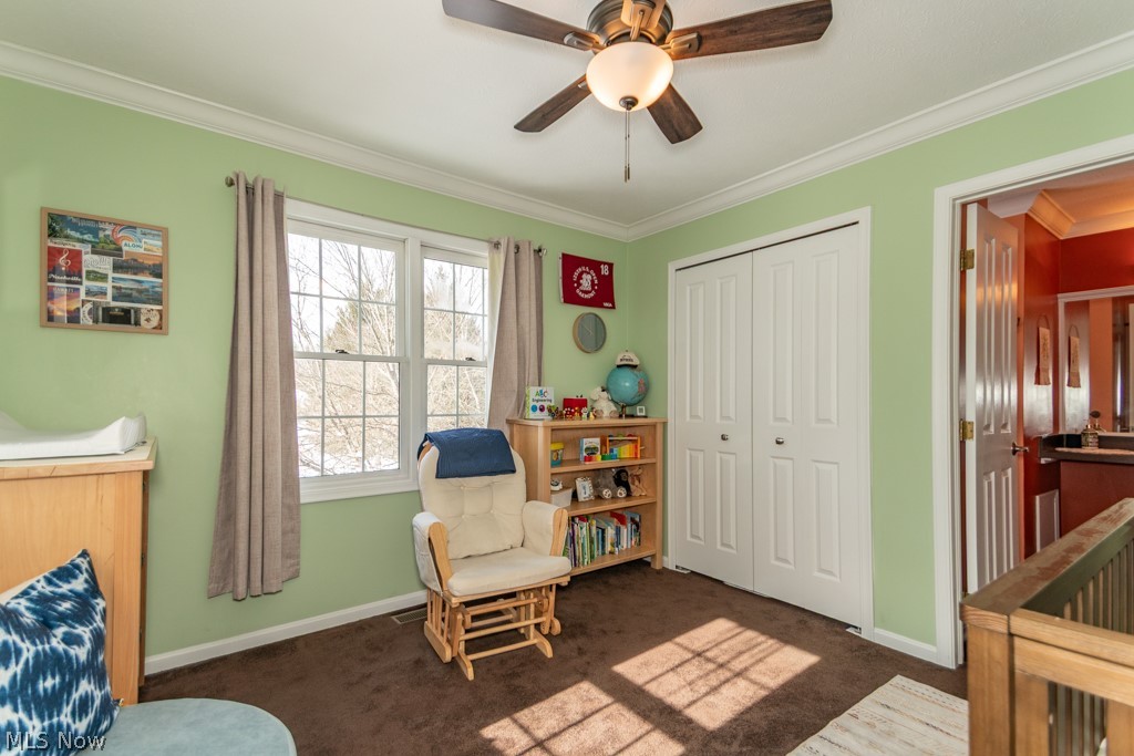 11241 Stanley Lane Twinsburg OH 44087