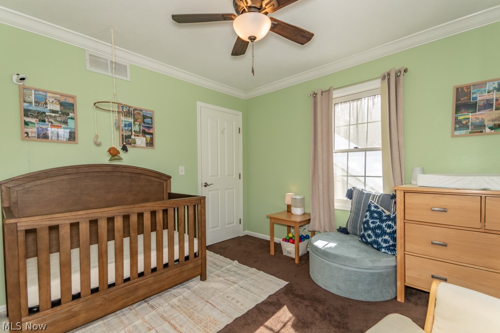 11241 Stanley Lane Twinsburg OH 44087