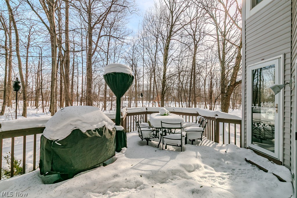 11241 Stanley Lane Twinsburg OH 44087